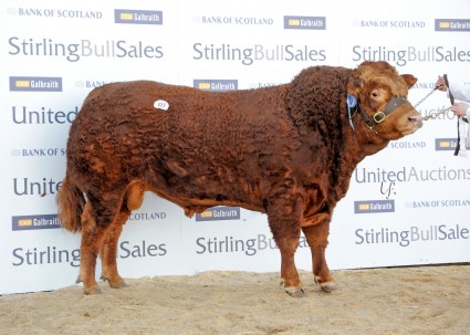 Ballinloan Gambler 8000gns