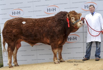 Norman Griffin - 11,000gns