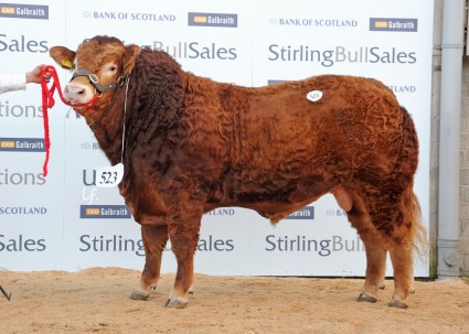 Westhall Goldmine 7,000gns