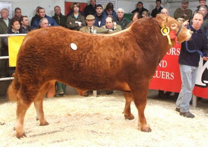 Loosebeare Greenday 4,400gns