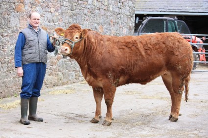 Top 10 Beef Valuation heifer Glenrock Fantastic resized