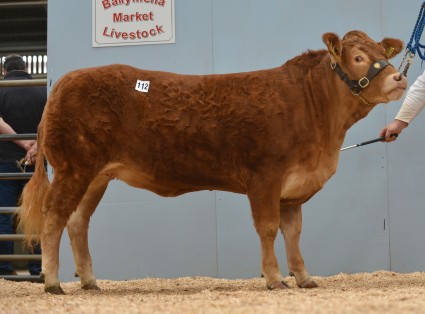 Artnagullion Helena 2,050gns