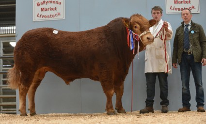 Culnagechan Gambler 4,500gns