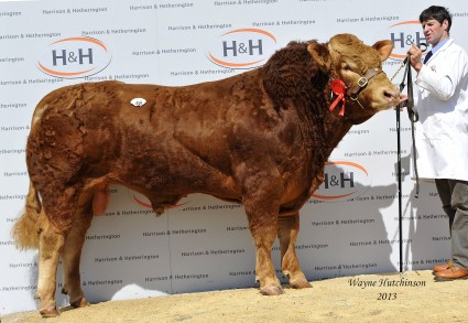 Homebyres Geoffrey - 10,000gns