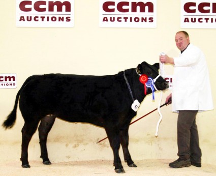 NLE Sedgewick & Slack reserve supreme champ