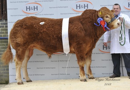 Res Junior and Res Overall Gorrycam Hazzard 26,000gns