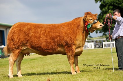 Best Cow - Brockhurst Bolshoi