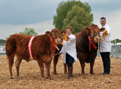 Res Burke Pair Limousins 'Foxhill Gracie & Calnagechan Giantscauseway'  From Mr & Mrs Mj Alford & Mr & Mrs NR & L Hill  Cheddar
