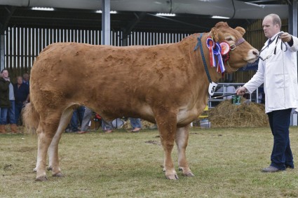 Glenrock Fantastic Grand Prix Reserve Overall