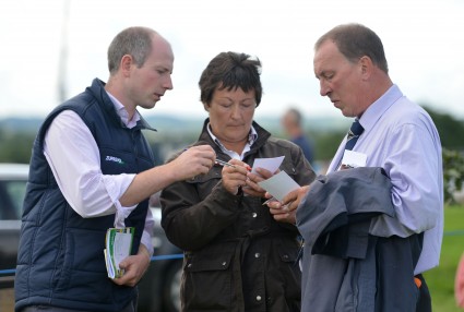 Stockjudging Judges Cahir McAuley, Delana Davies & James Cooper