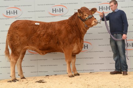 Harvey's Getique 6000gns