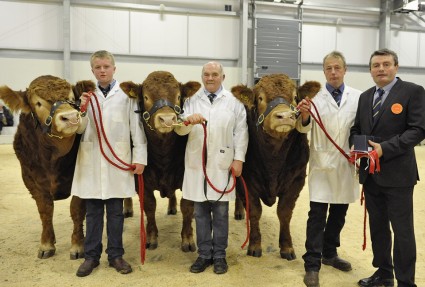 Champion Carlisle Group of Three