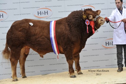 Emslies Horny - Supreme Champion - 12,500gns