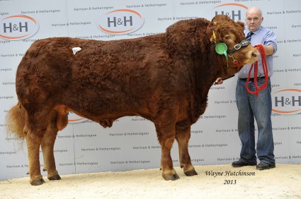 Maraiscote Hawk - 11,500gns