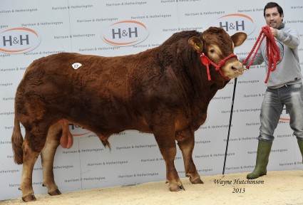 Titchburn Heros - 11,000gns