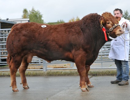 Ashledge Harrier 5,000gns