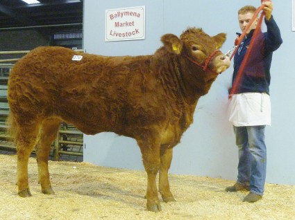 Robineed Hotpants 3,400gns