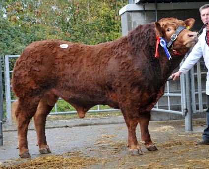 Sarkley Hamilton 5,000gns