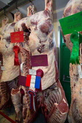 Supreme Champion Carcase