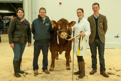 Senior Young Handler Lin Pidsley