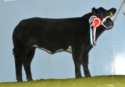 Mya Reserve Commercial Champion