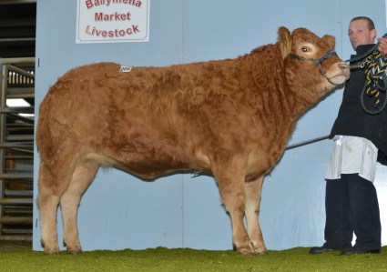 Rahoney Heather 2,300gns