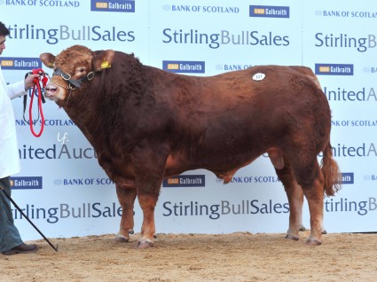 Dyke Highlander 8500gns