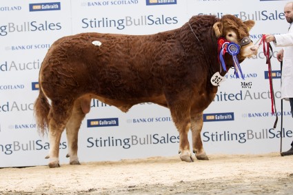 Elrick Handsome 12,500gns