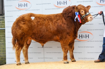 Fairywater Haig - 23,000gns