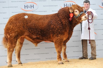 Grahams Humphrey - 37,000gns