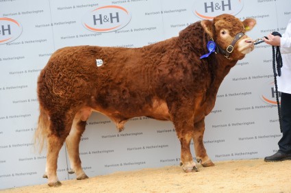 Lowerffrydd Husainbolt - 20,000gns