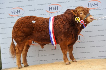 Mereside Hallmark 18,000gns