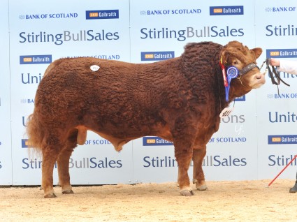 Newhouse Hamish 4500gns