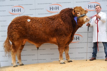 Norman Hawk - 15,500gns