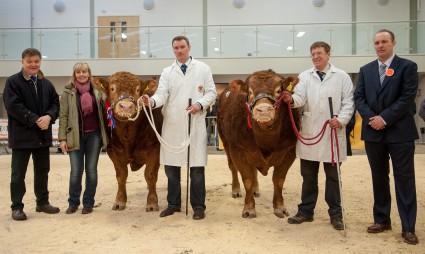 Supreme Champion Mereside Hallmark and Reserve Goldies Hurricane