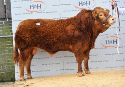 Sandhills Herbie - 17,000gns