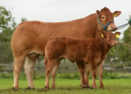 Nebo Favourite 9,000 gns