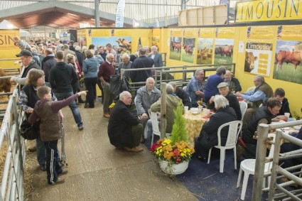 Limousin Society Stand at Agri Expo 