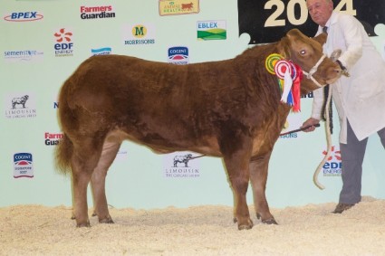 Reserve Overall Supreme & Champion Crossbred More of That P&S Sellers