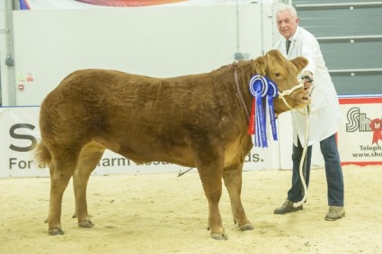 Reserve Supreme Champion More Of That (191 P&S Sellers)