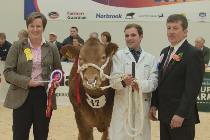 Steer Championship Presentation Maybe This Time (James Nisbet) 