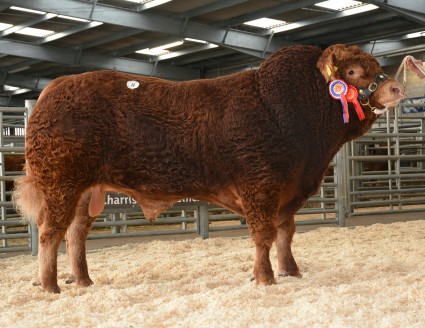 Wilodge Inform 7500gns