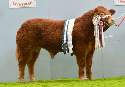 Pedigree Champion & Supreme Overall Trueman Jukebox