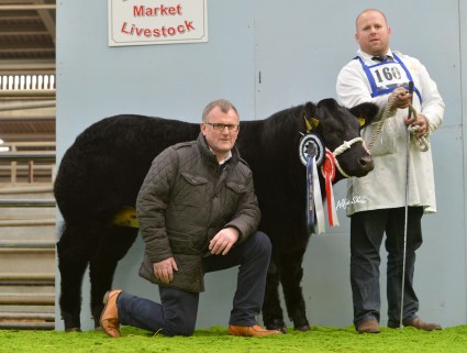 Reserve Commercial Champion