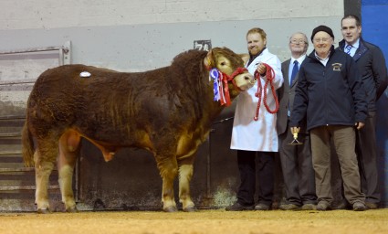 Gleneagle Icon 3,600gns