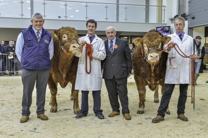 Intermediate Champion MARAISCOTE INGEMAR - Reserve lot 158 LOOSEBEARE INSPECTOR