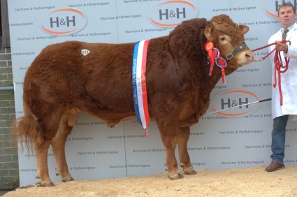 Norman Infusion 20,000gns