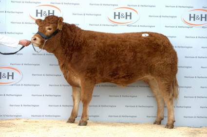 Roxburgh Hova - 10,000gns