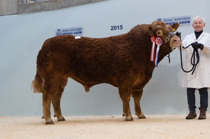 Shannas Illusion 7,000gns