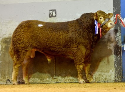 Trueman Impressive 5,000gns